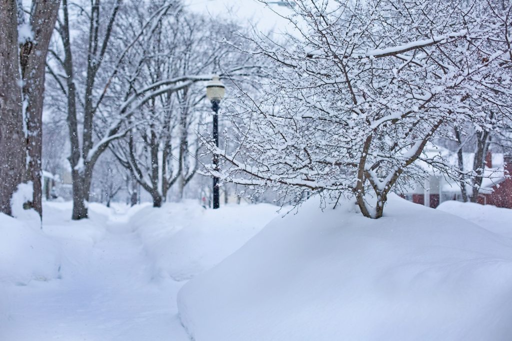 Oakland County, MI Winter